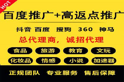 行业领先企业的网络推广与竞价经验